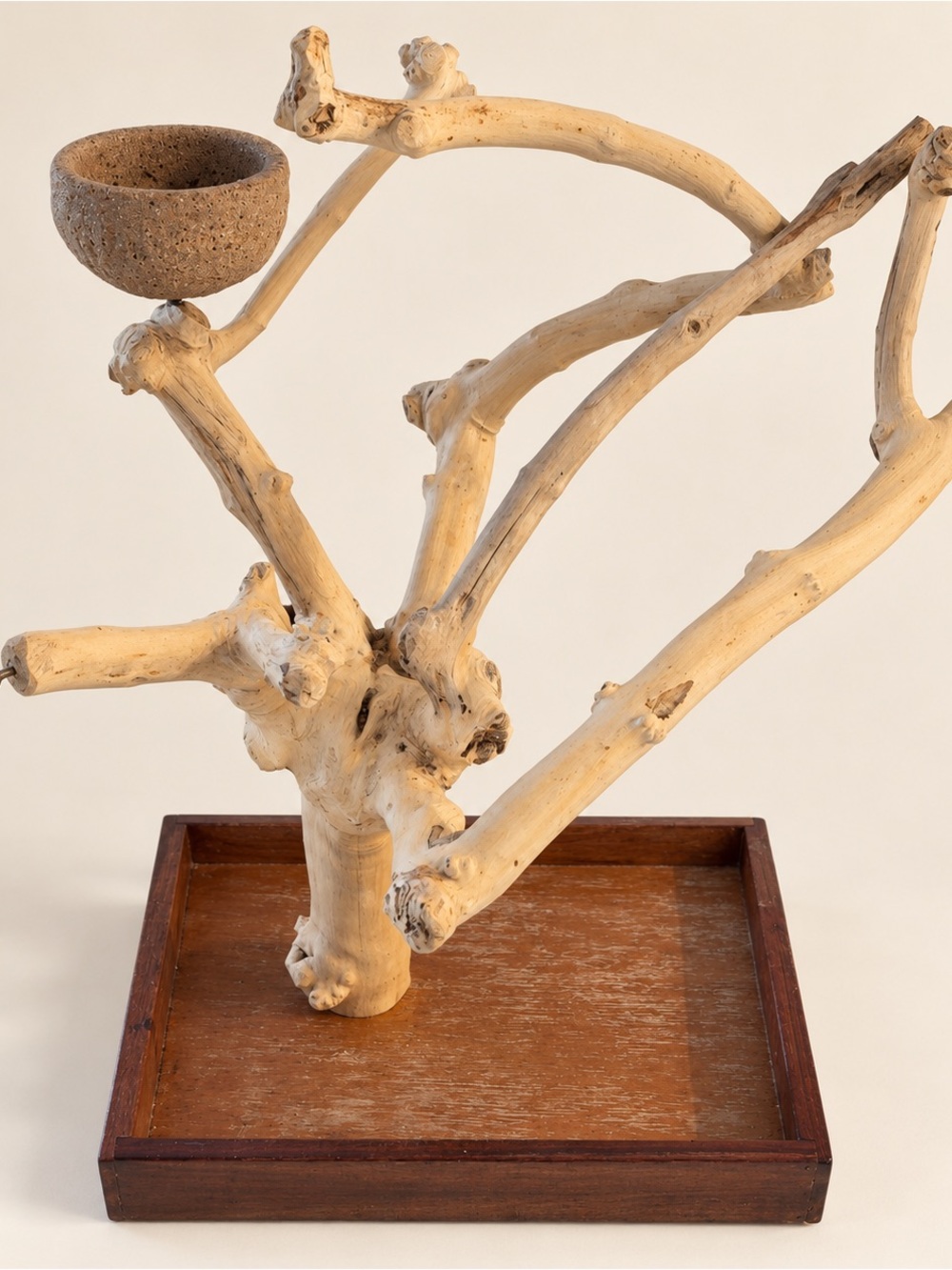 Java Wood Bird Perch